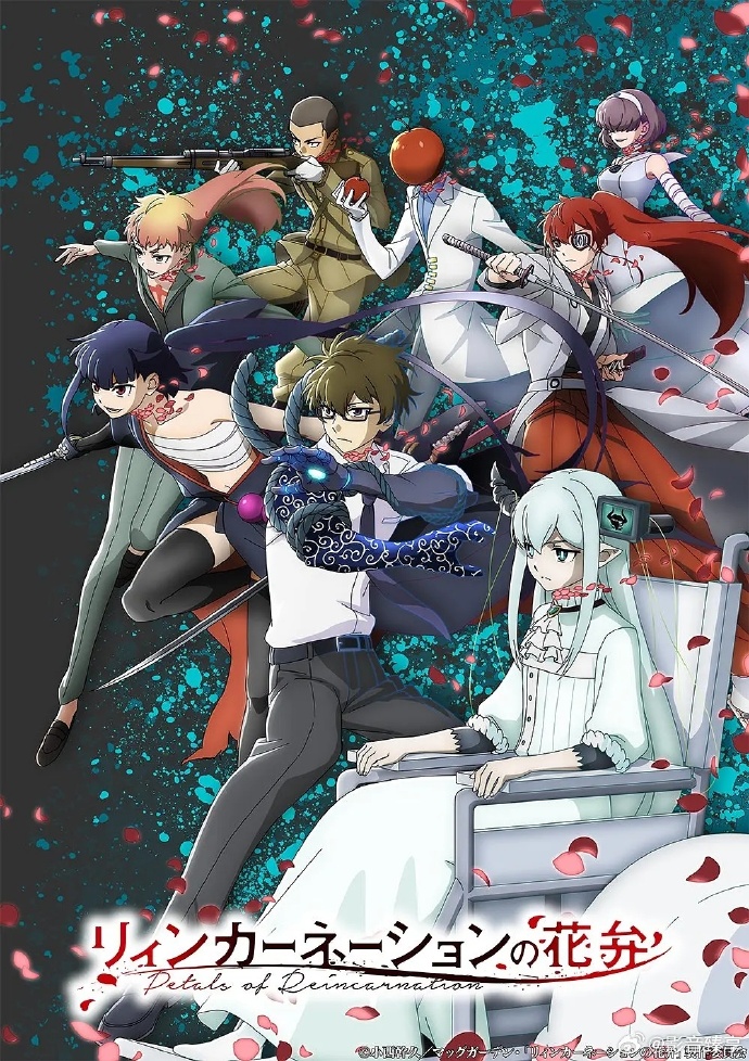 轮回的花瓣(动漫)