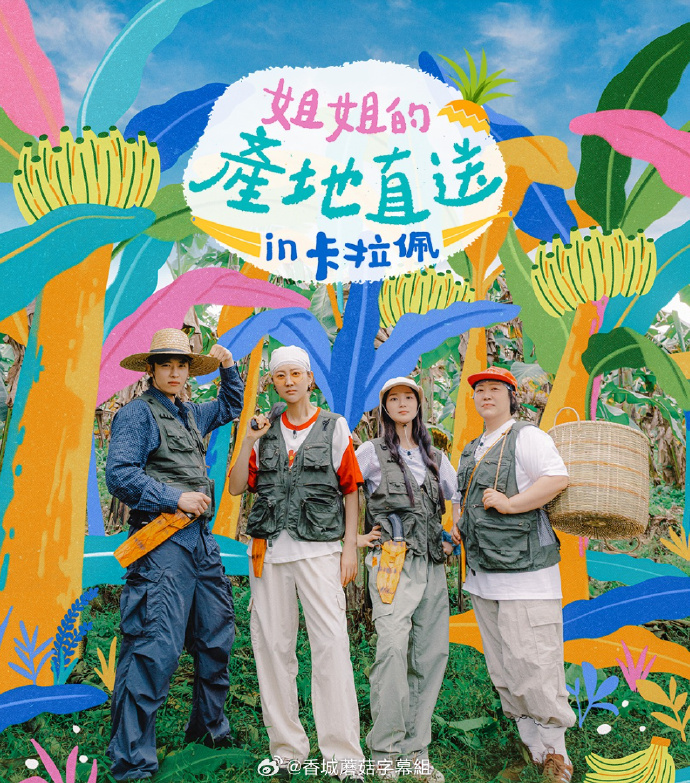 姐姐家的产地直送3(综艺)