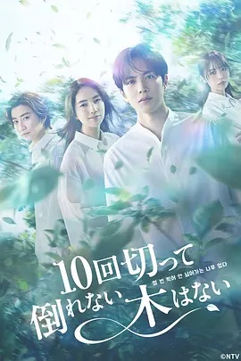 没有砍十次还不倒的树(日本剧)