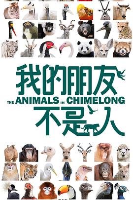 我的朋友不是人(综艺)