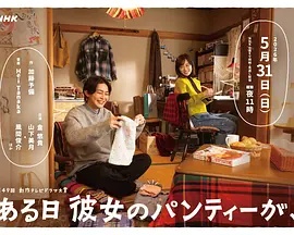 某天,她的内衣(日本剧)