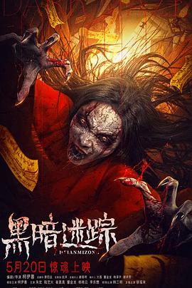 黑暗迷踪(剧情片)