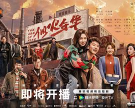 似火年华(国产剧)