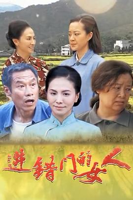 进错门的女人(国产剧)