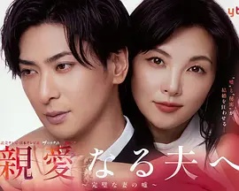 致亲爱的丈夫~完美妻子的谎言~(日本剧)