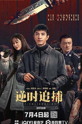 逆时追捕(国产剧)