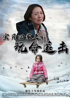 宝贝回家之玩命追击(剧情片)