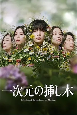 一次元的扦插(日本剧)
