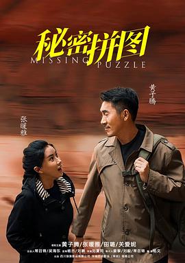 秘密拼图(动作片)