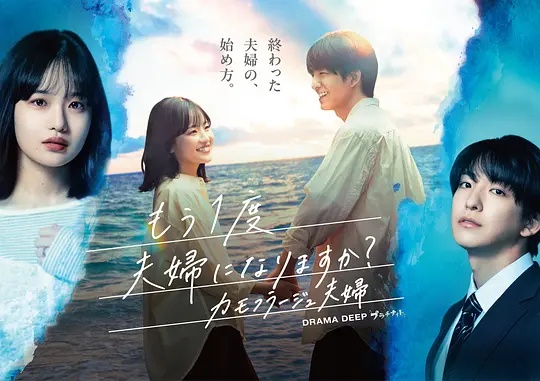 要再做一次夫妇吗？～伪装夫妇～(日本剧)
