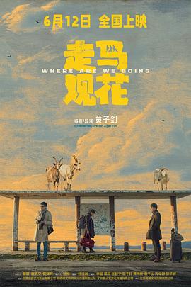 走马观花(剧情片)