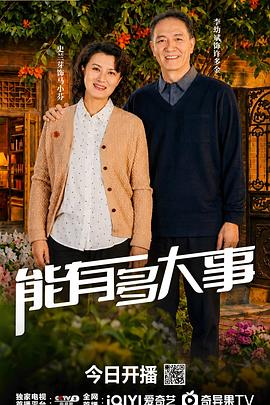 能有多大事(国产剧)