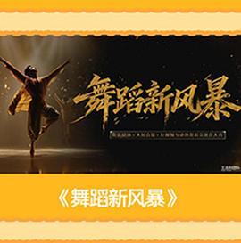 舞蹈新风暴(综艺)